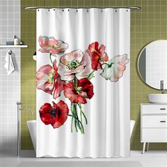 Flowers Poppies Poppy Vintage Shower Curtain 48  X 72  (small)  by Celenk