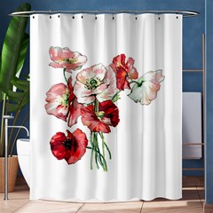 Flowers Poppies Poppy Vintage Shower Curtain 60  X 72  (medium)  by Celenk