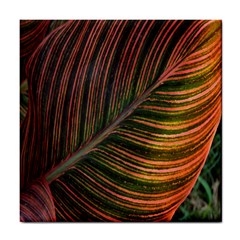 Leaf Colorful Nature Orange Season Tile Coasters by Celenk