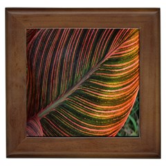 Leaf Colorful Nature Orange Season Framed Tiles by Celenk