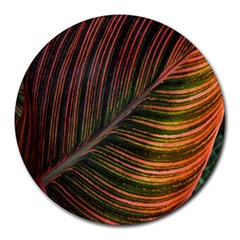 Leaf Colorful Nature Orange Season Round Mousepads by Celenk