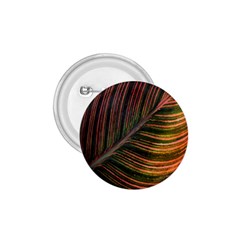 Leaf Colorful Nature Orange Season 1 75  Buttons by Celenk