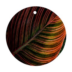 Leaf Colorful Nature Orange Season Ornament (round) by Celenk