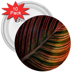 Leaf Colorful Nature Orange Season 3  Buttons (10 Pack)  by Celenk