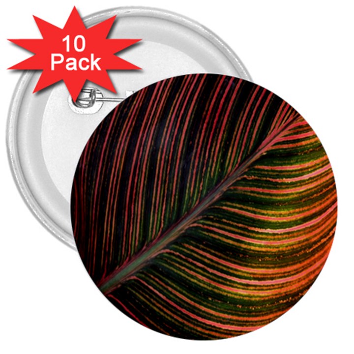 Leaf Colorful Nature Orange Season 3  Buttons (10 pack) 