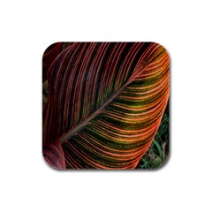 Leaf Colorful Nature Orange Season Rubber Square Coaster (4 Pack)  by Celenk