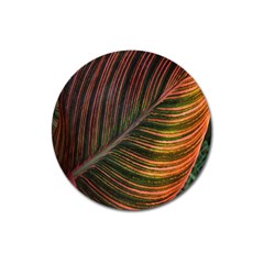 Leaf Colorful Nature Orange Season Magnet 3  (round) by Celenk