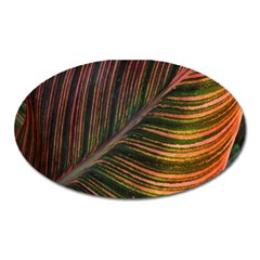 Leaf Colorful Nature Orange Season Oval Magnet by Celenk