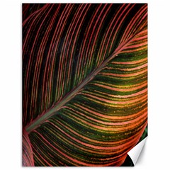 Leaf Colorful Nature Orange Season Canvas 18  X 24   by Celenk