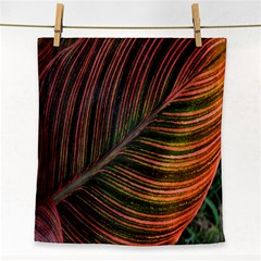 Leaf Colorful Nature Orange Season Face Towel by Celenk