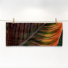 Leaf Colorful Nature Orange Season Cosmetic Storage Cases by Celenk