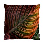 Leaf Colorful Nature Orange Season Standard Cushion Case (Two Sides) Front