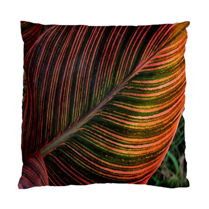 Leaf Colorful Nature Orange Season Standard Cushion Case (Two Sides)