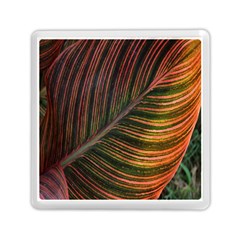 Leaf Colorful Nature Orange Season Memory Card Reader (square)  by Celenk