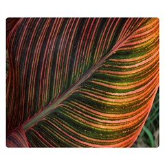 Leaf Colorful Nature Orange Season Double Sided Flano Blanket (small)  by Celenk