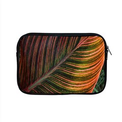 Leaf Colorful Nature Orange Season Apple Macbook Pro 15  Zipper Case by Celenk