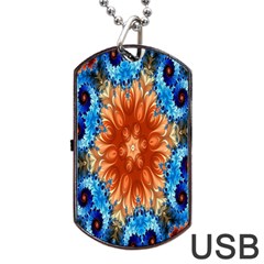 Alchemy Kaleidoscope Pattern Dog Tag Usb Flash (two Sides) by Celenk