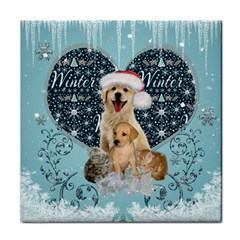 It s Winter And Christmas Time, Cute Kitten And Dogs Face Towel by FantasyWorld7