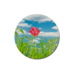 Beauty Nature Scene Photo Magnet 3  (round) by dflcprints