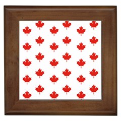 Maple Leaf Canada Emblem Country Framed Tiles by Celenk