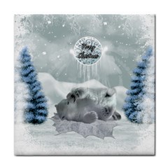 Cute Polar Bear Baby, Merry Christmas Face Towel by FantasyWorld7