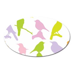 Birds Colourful Background Oval Magnet by Celenk