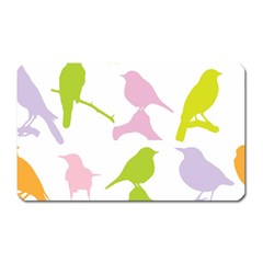 Birds Colourful Background Magnet (rectangular) by Celenk