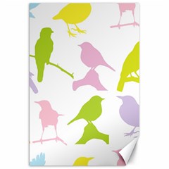 Birds Colourful Background Canvas 20  X 30   by Celenk