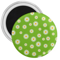 Daisy Flowers Floral Wallpaper 3  Magnets by Celenk