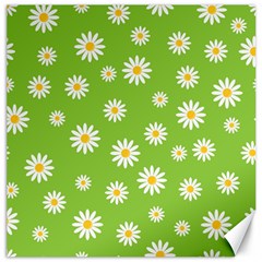 Daisy Flowers Floral Wallpaper Canvas 12  X 12   by Celenk