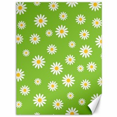 Daisy Flowers Floral Wallpaper Canvas 36  X 48   by Celenk