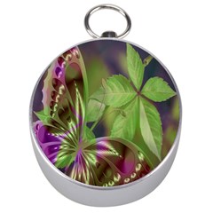 Arrangement Butterfly Aesthetics Silver Compasses by Celenk