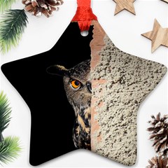 Owl Hiding Peeking Peeping Peek Ornament (star) by Celenk