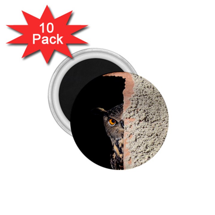 Owl Hiding Peeking Peeping Peek 1.75  Magnets (10 pack) 