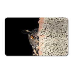 Owl Hiding Peeking Peeping Peek Magnet (rectangular) by Celenk