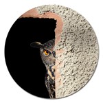 Owl Hiding Peeking Peeping Peek Magnet 5  (Round) Front