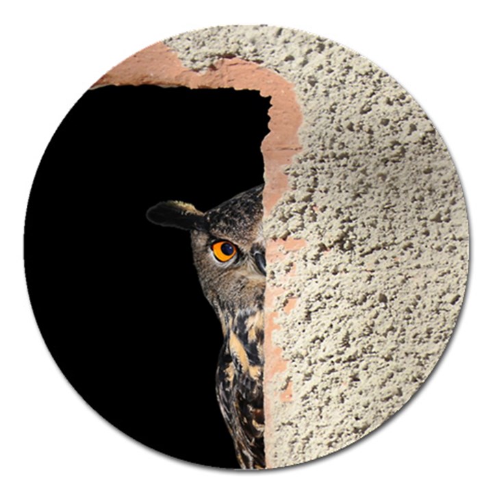 Owl Hiding Peeking Peeping Peek Magnet 5  (Round)