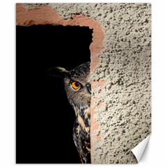 Owl Hiding Peeking Peeping Peek Canvas 8  X 10  by Celenk