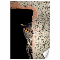 Owl Hiding Peeking Peeping Peek Canvas 12  X 18   by Celenk