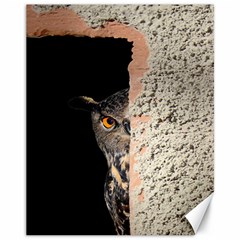 Owl Hiding Peeking Peeping Peek Canvas 11  X 14   by Celenk