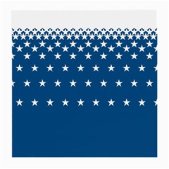 Patriot Medium Glasses Cloth