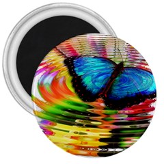 Blue Morphofalter Butterfly Insect 3  Magnets by Celenk