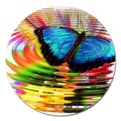 Blue Morphofalter Butterfly Insect Magnet 5  (round) by Celenk