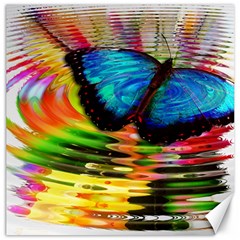 Blue Morphofalter Butterfly Insect Canvas 20  X 20   by Celenk