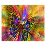 Arrangement Butterfly Aesthetics Double Sided Flano Blanket (Small)  50 x40  Blanket Back