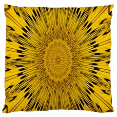 Pattern Petals Pipes Plants Large Flano Cushion Case (two Sides) by Celenk