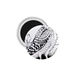 Animal Bird Forest Nature Owl 1 75  Magnets by Celenk