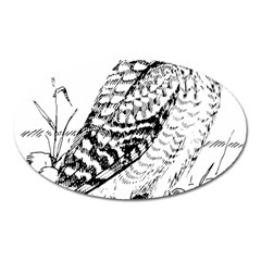 Animal Bird Forest Nature Owl Oval Magnet by Celenk