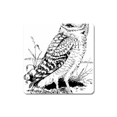 Animal Bird Forest Nature Owl Square Magnet by Celenk