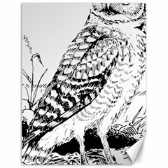 Animal Bird Forest Nature Owl Canvas 12  X 16   by Celenk